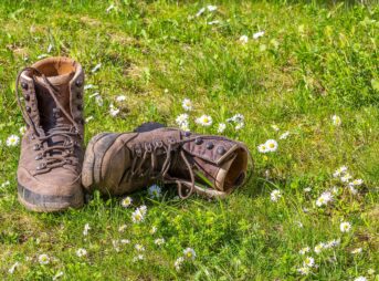 hike, shoes, nature