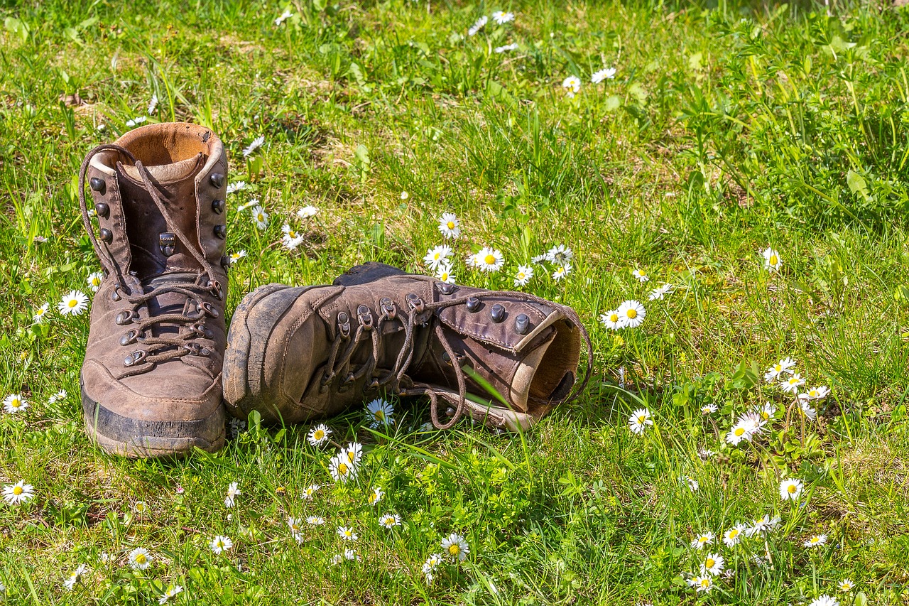 hike, shoes, nature